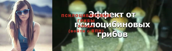 ALPHA PVP Алзамай