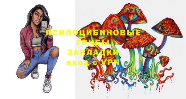МДПВ Абаза