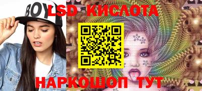 эйфоретик Майкоп