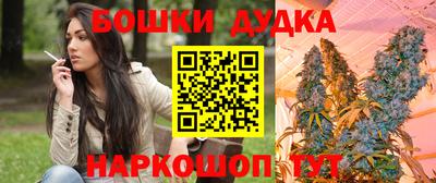 эйфоретик Майкоп