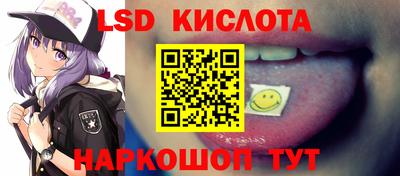 эйфоретик Майкоп