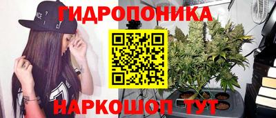 PSILOCYBIN Магадан