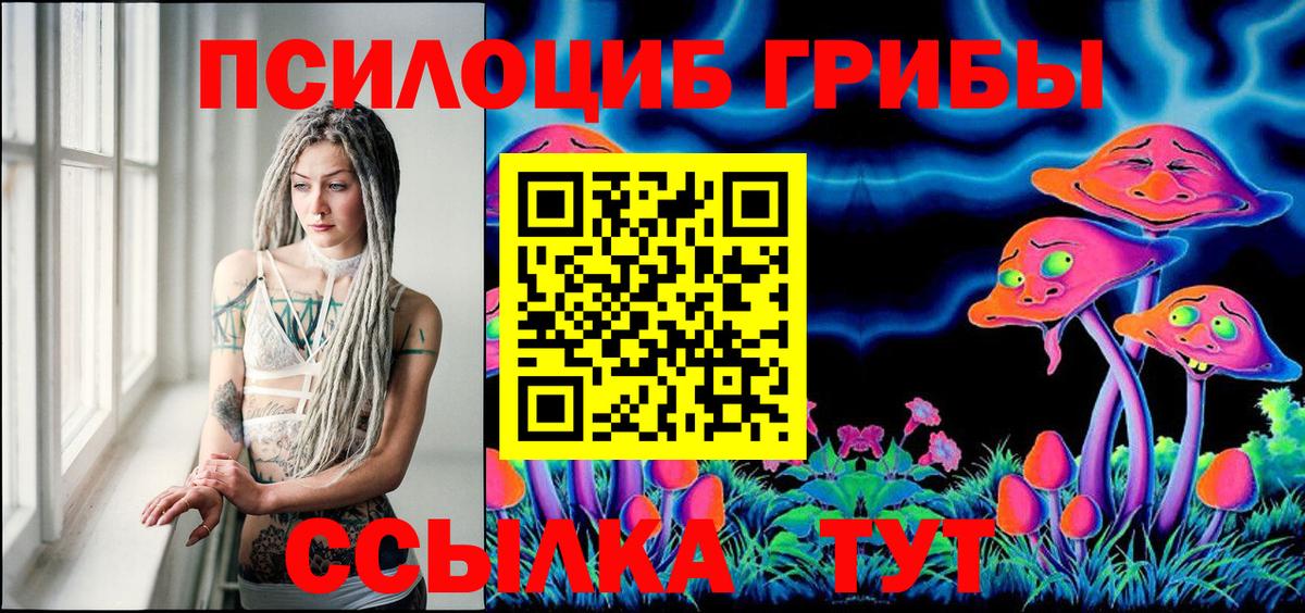Псилоцибиновые грибы Psilocybine cubensis Красноперекопск
